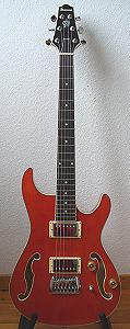 Bild Ibanez Gitarre